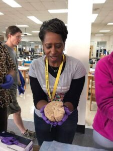 Teacher holding a brain.